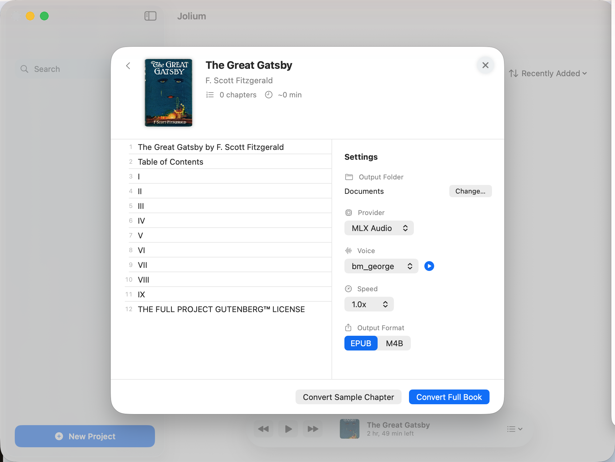 Jolium conversion settings — voice, format, chapters